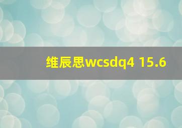 维辰思wcsdq4 15.6